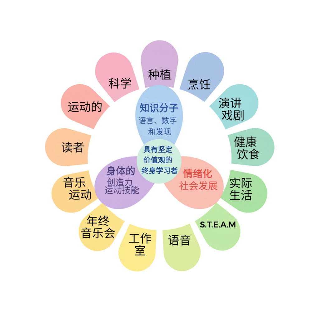 curriculum curriculum
